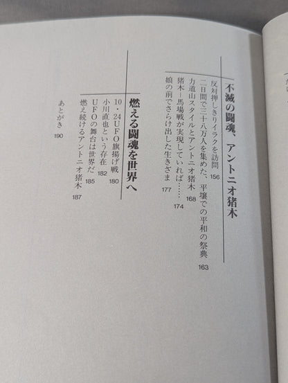 Immortal Fighting Spirit