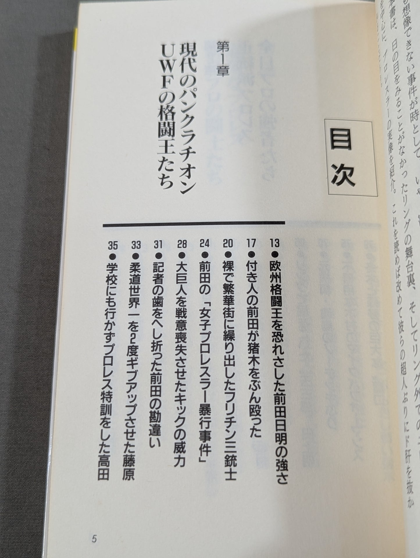 プロレスラーみんなまとめて場外乱闘