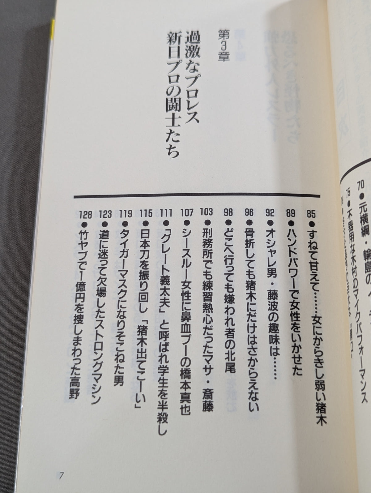 プロレスラーみんなまとめて場外乱闘