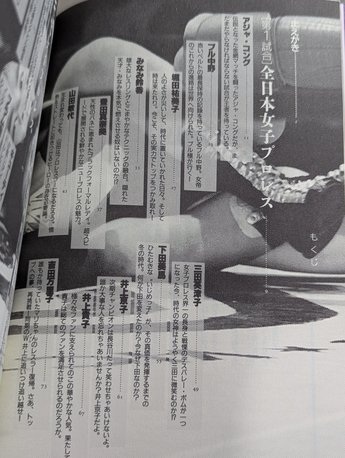 熱血! 女子プロレスの友