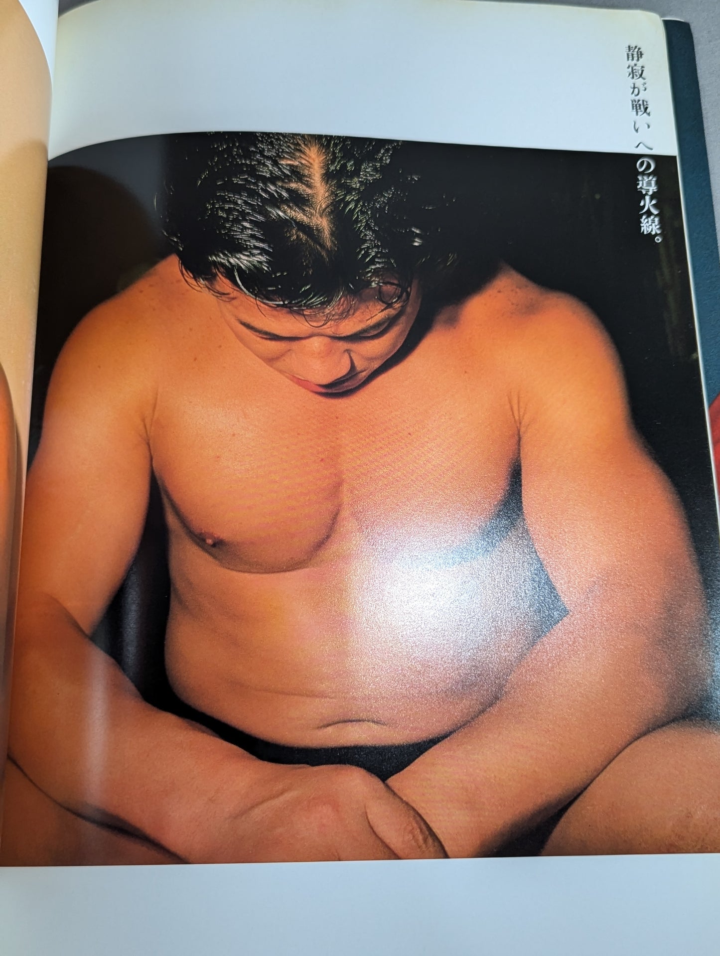 藤波辰巳 写真集