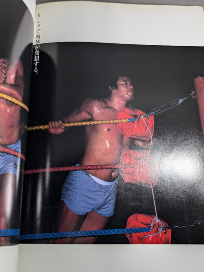 藤波辰巳 写真集
