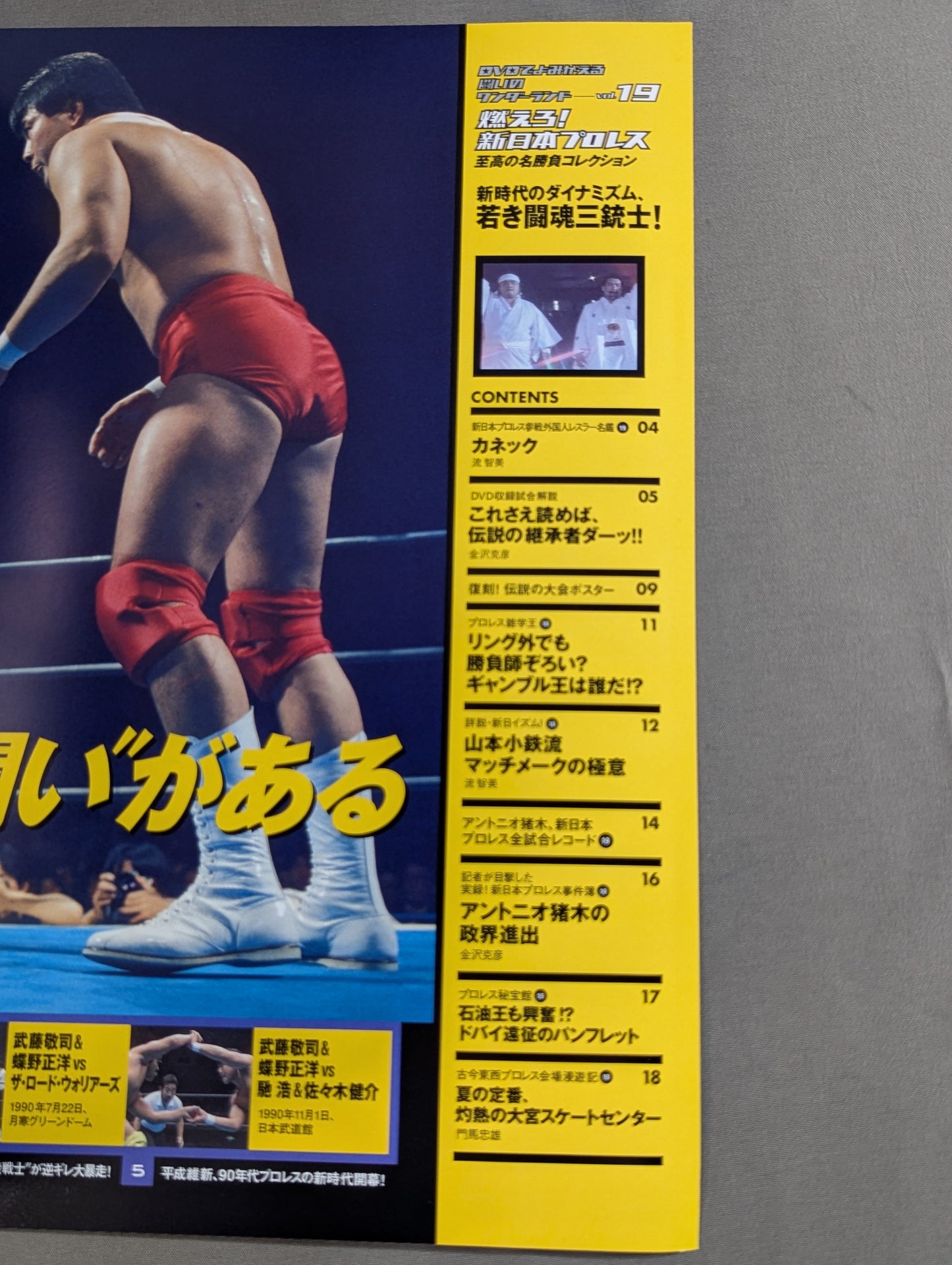 Burn! New Japan Pro Wrestling  vol.19