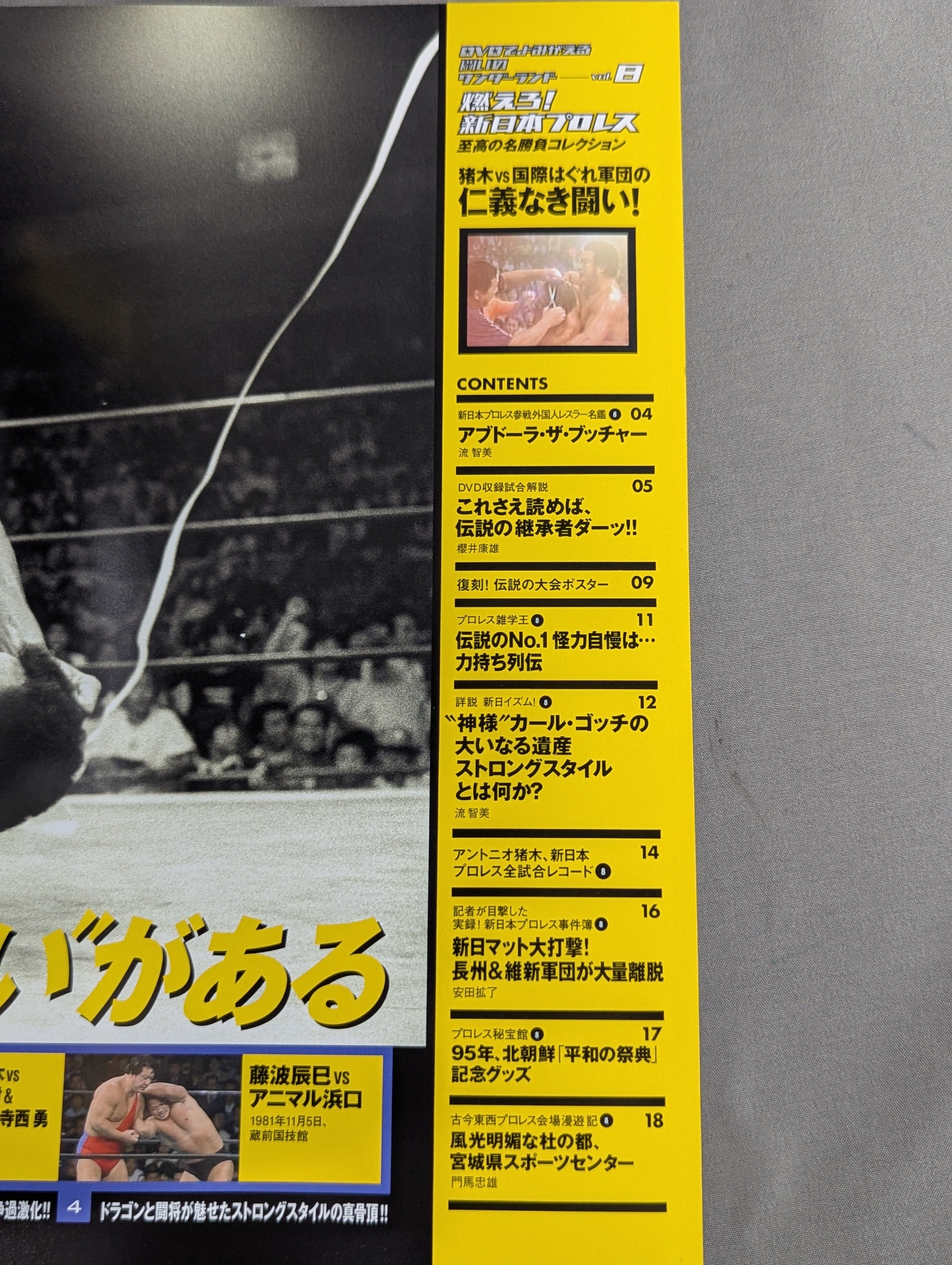 燃えろ!新日本プロレス vol.8 – 闘道館