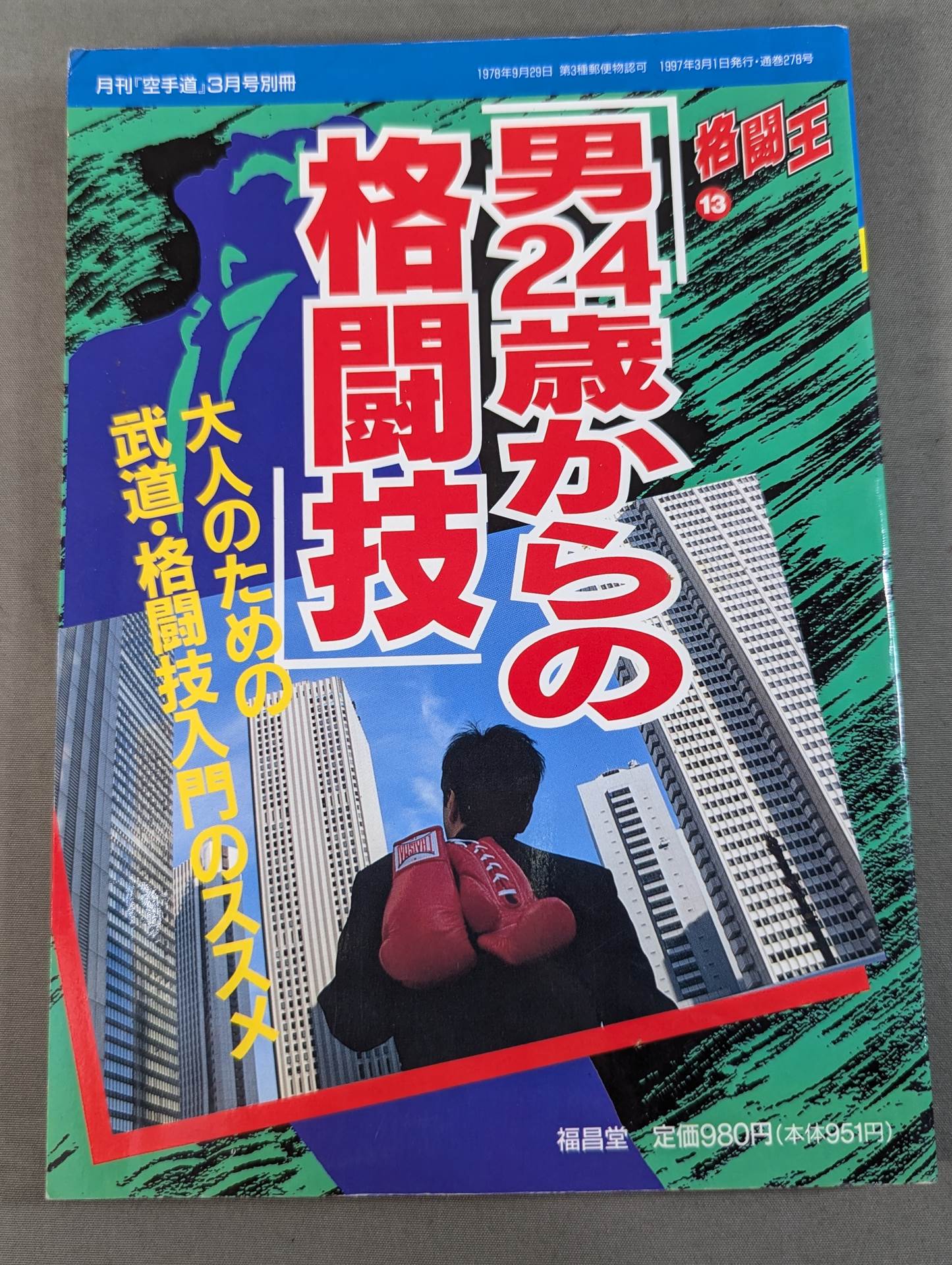 Martial Arts from the age of 24 Martial Arts Recommendations for Adults