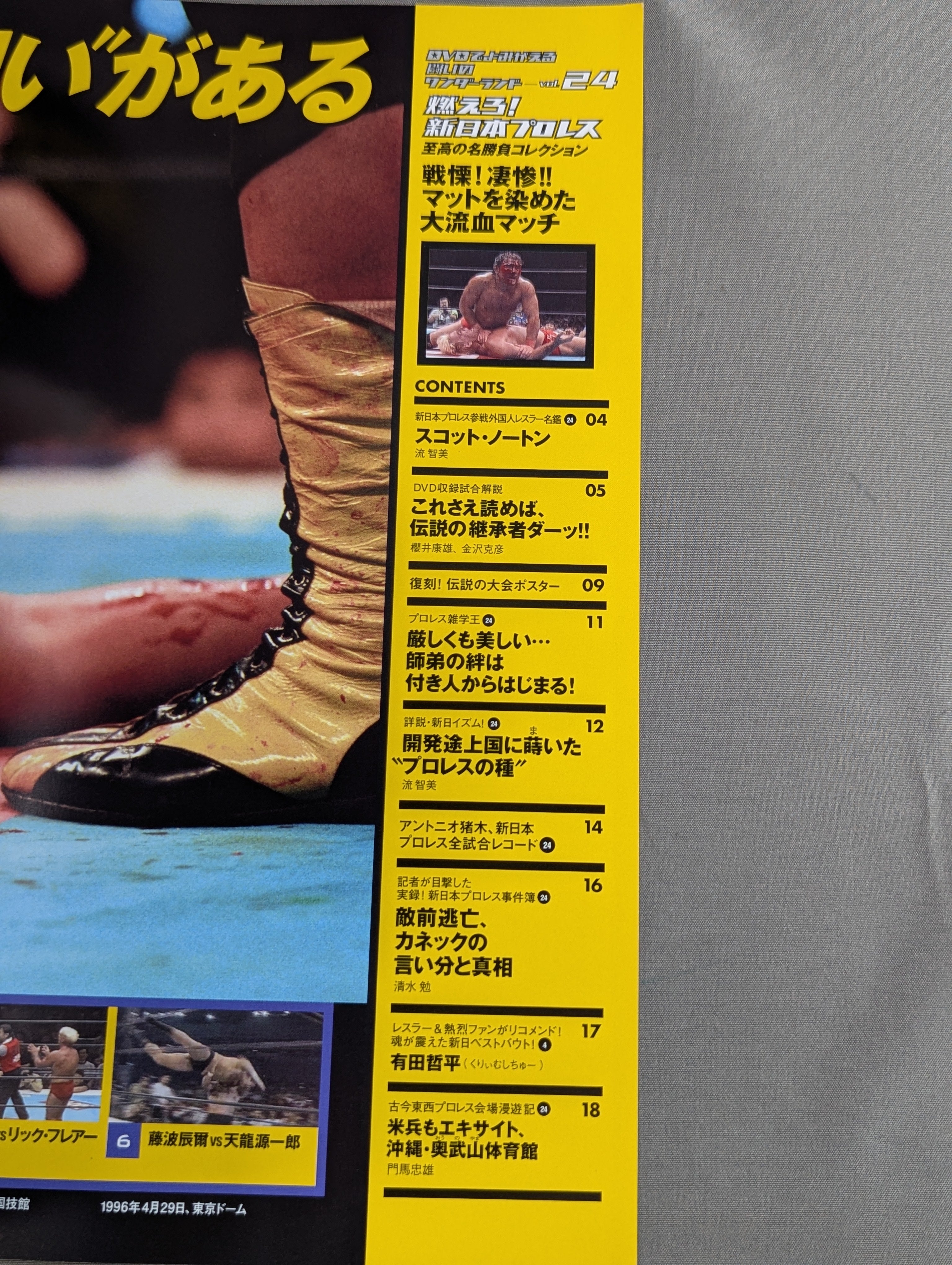 燃えろ!新日本プロレス vol.24 – 闘道館