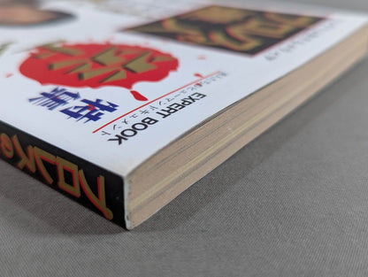 Pro Wrestling  Master Vol.6 Flames!! Pro Wrestling  vs Martial Arts