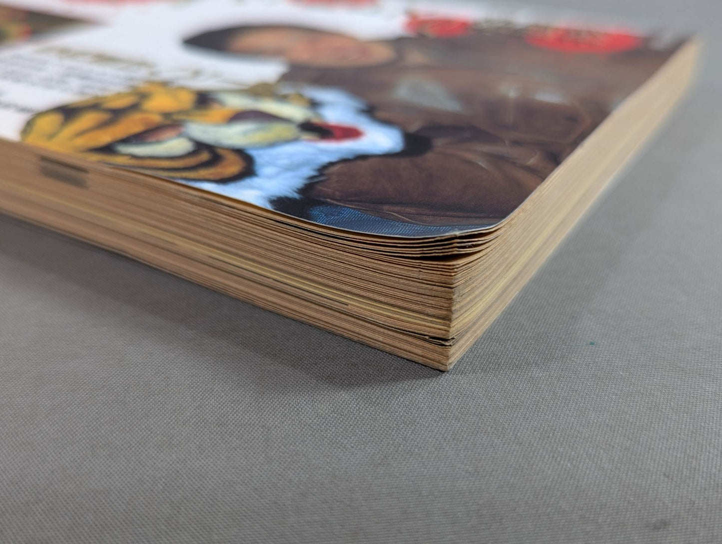 Pro Wrestling  Master Vol.6 Flames!! Pro Wrestling  vs Martial Arts