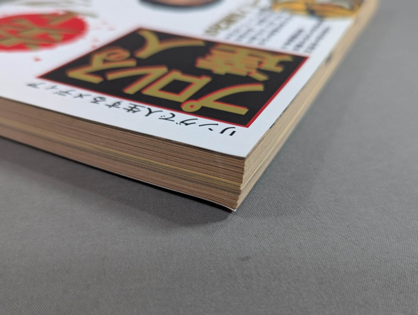 Pro Wrestling  Master Vol.6 Flames!! Pro Wrestling  vs Martial Arts