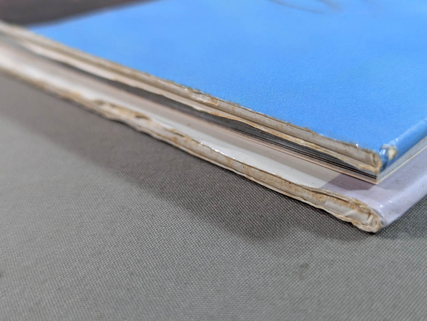 Michiko Omukai  photo  1st BLOOMING - A woman's heart blossoms