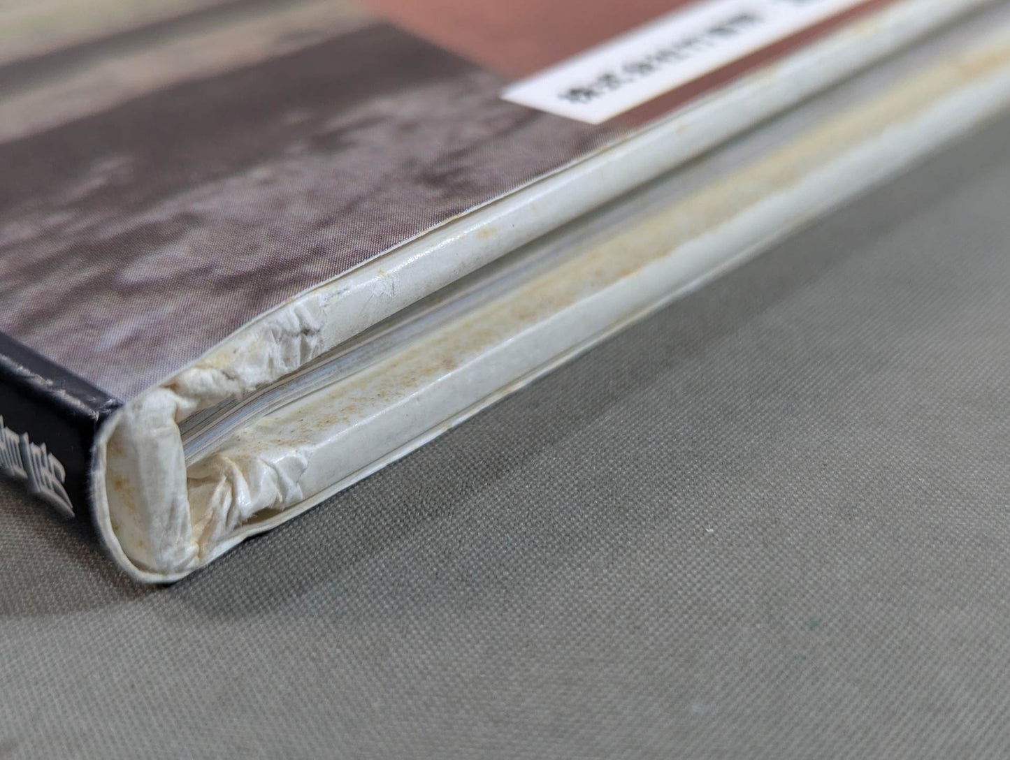 Michiko Omukai  photo  1st BLOOMING - A woman's heart blossoms