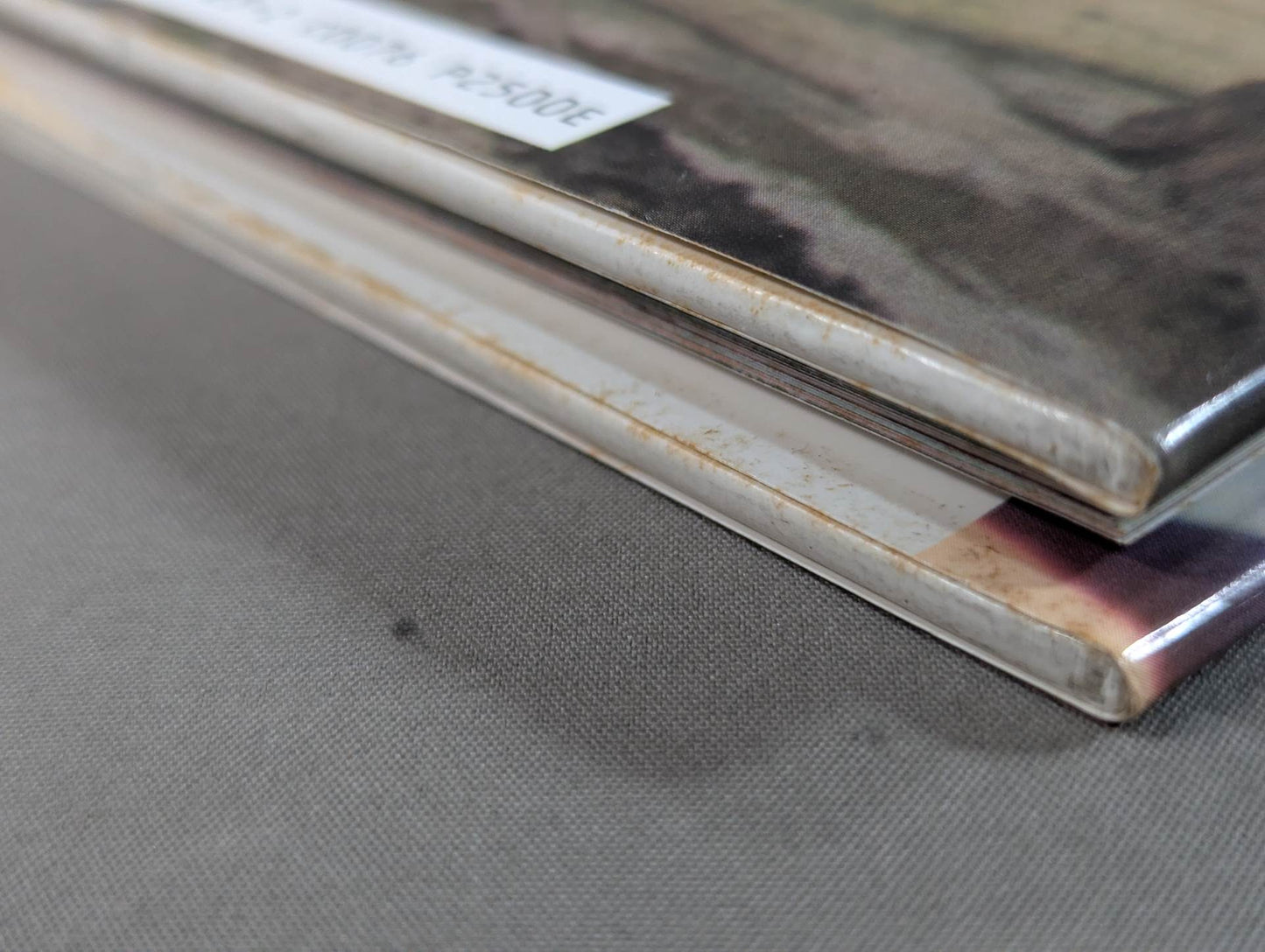 Michiko Omukai  photo  1st BLOOMING - A woman's heart blossoms