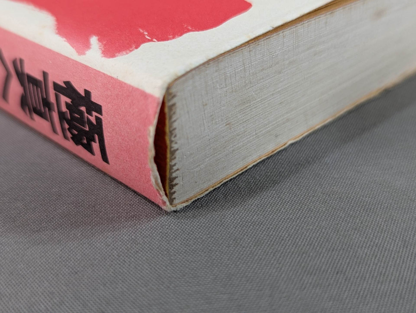 The Road to Kyokushin My KARATE Philosophy