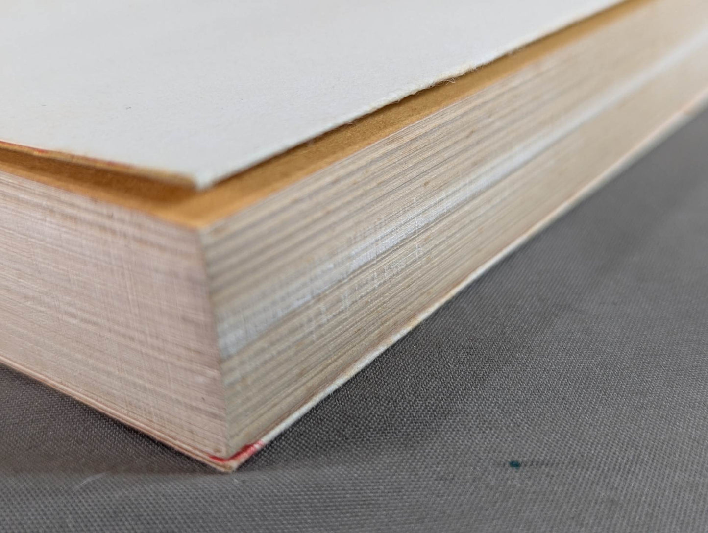 The Road to Kyokushin My KARATE Philosophy