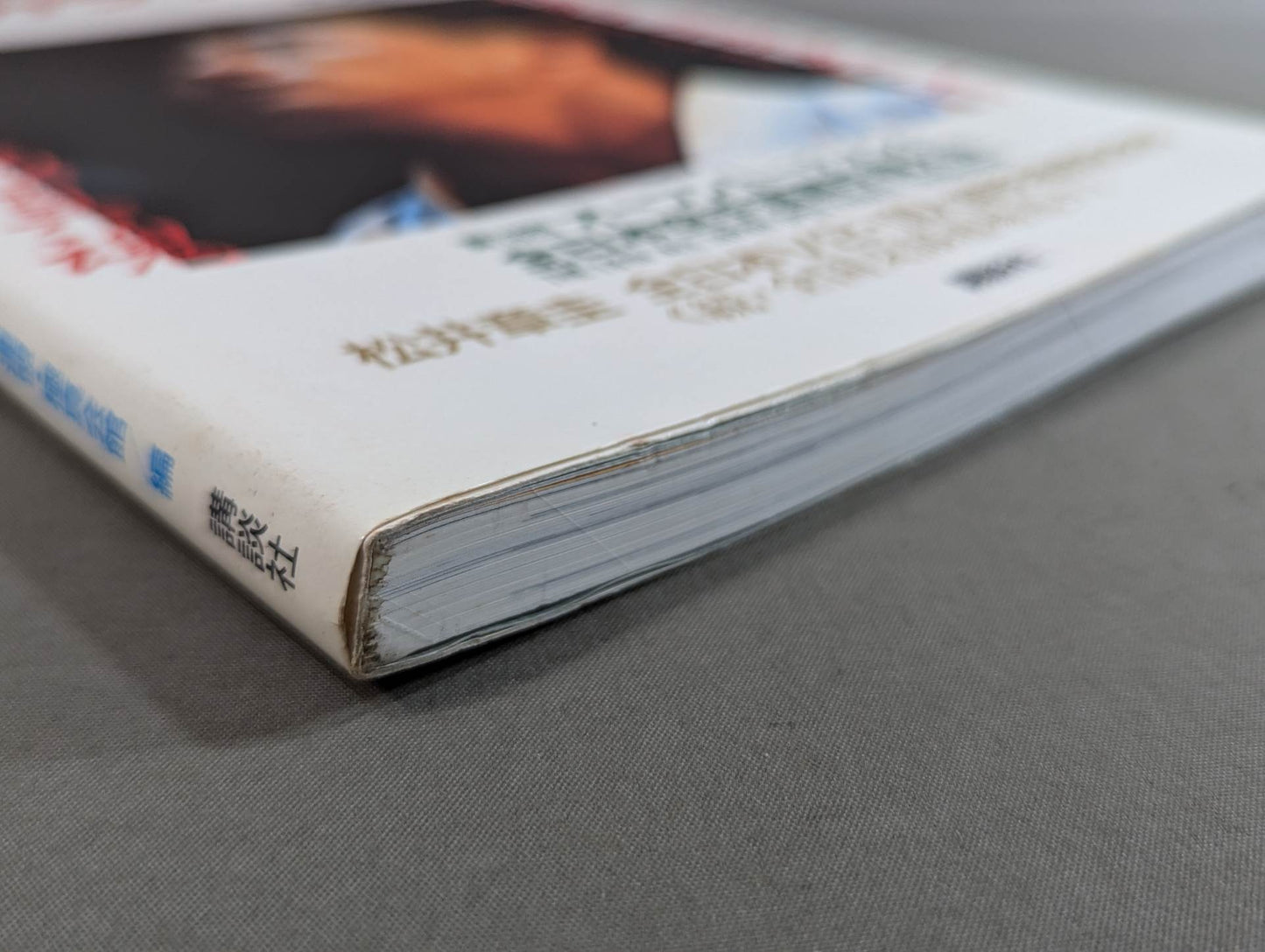 Kyokushin KARATE  Yearbook No. 7 Spreading its wings to the world Kyokushin Soul