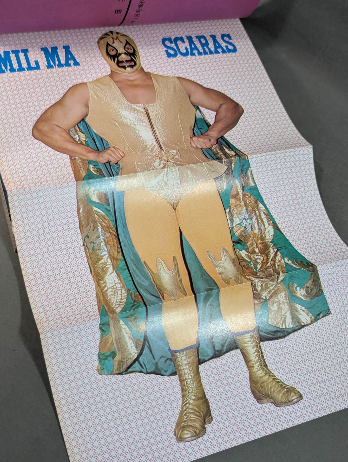 Mil Mascaras  Its Brilliant World