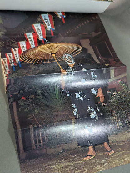 Mil Mascaras  Its Brilliant World