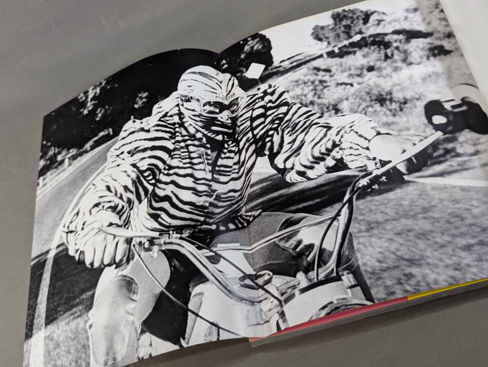 ミル・マスカラス その華麗なる世界 – 闘道館