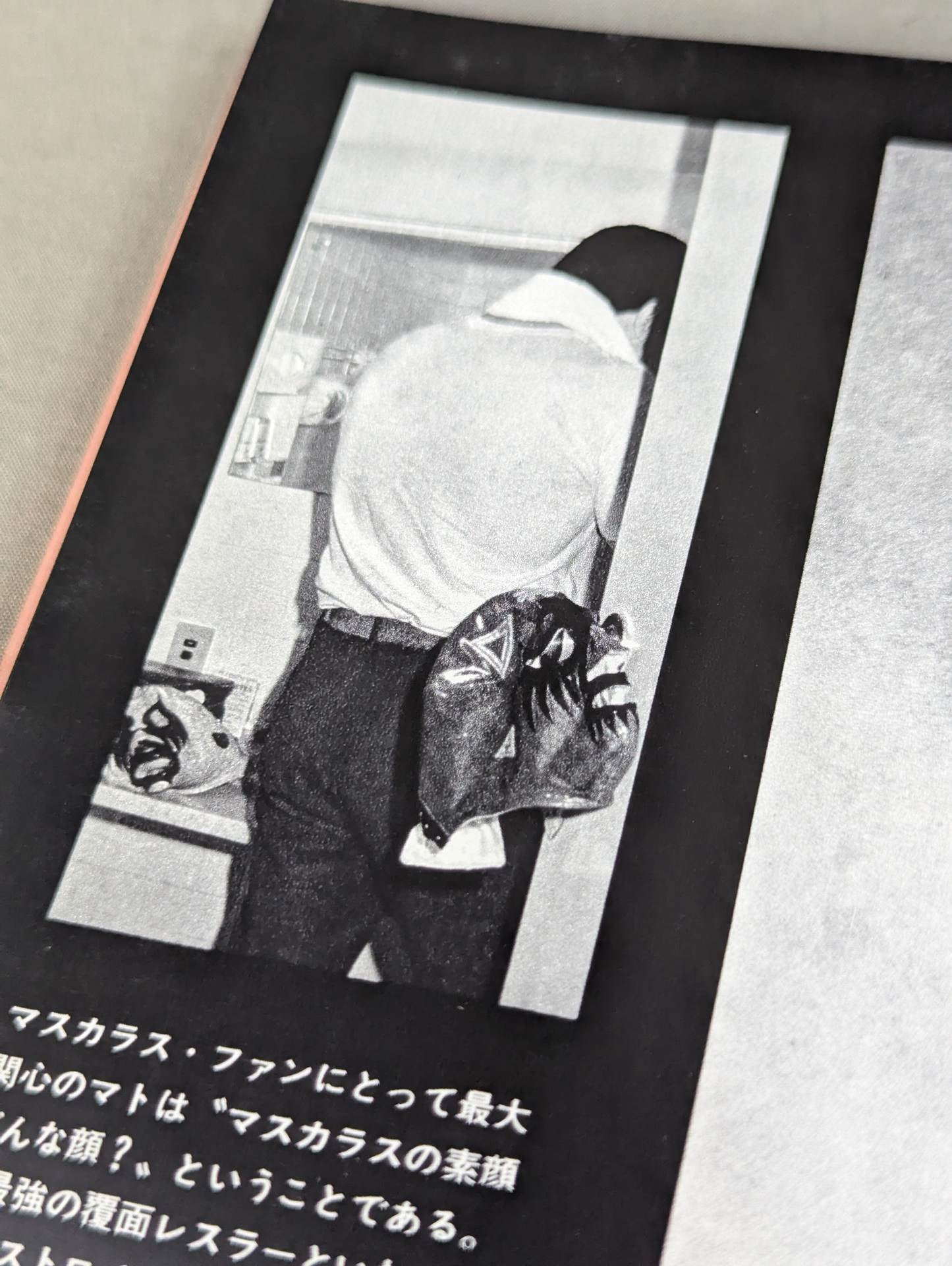 Mil Mascaras  Its Brilliant World