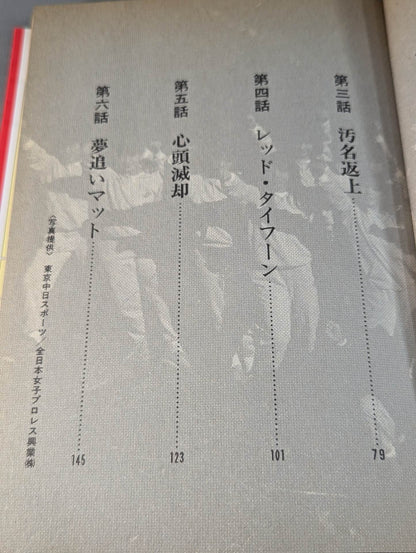 女子プロレス物語Ⅱ 新・リングの華戦士