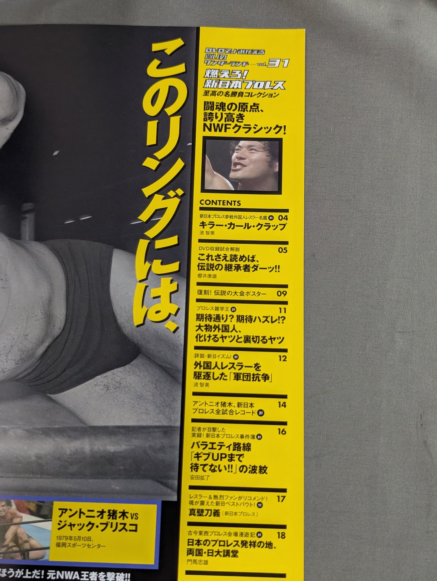 Burn! New Japan Pro Wrestling  vol.31