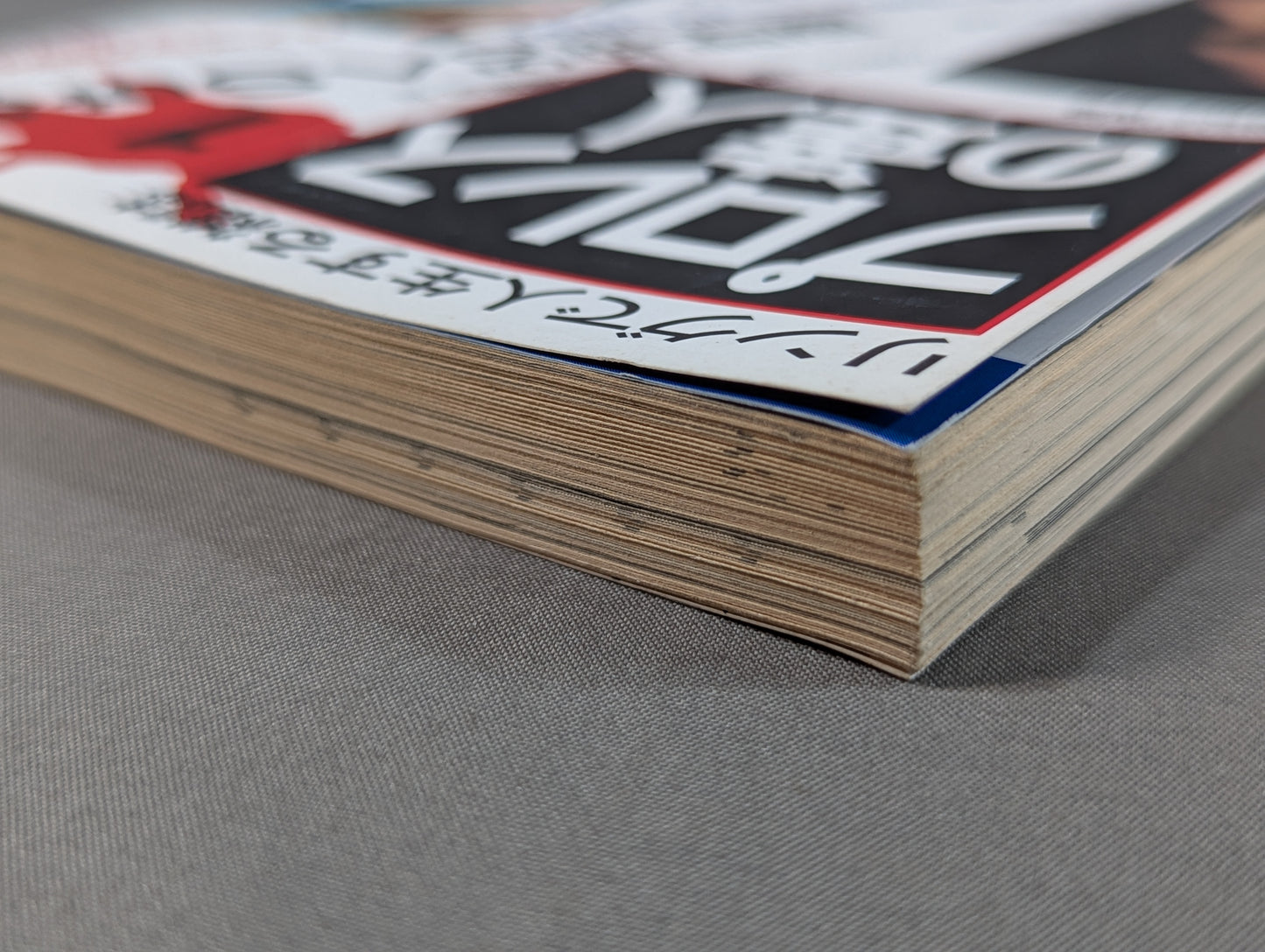 【創刊号】プロレスの達人Vol.1 みちのく50年計画