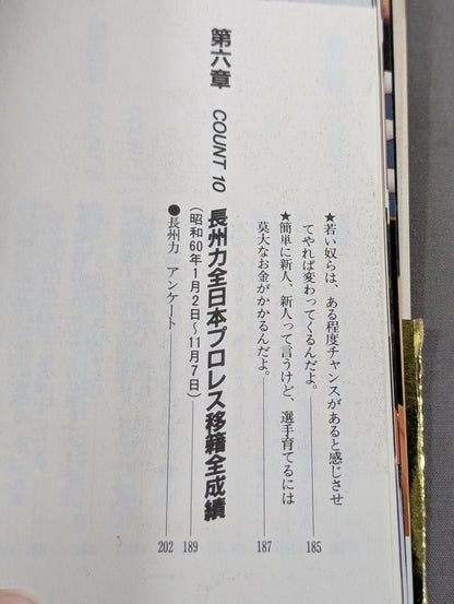 Burn! Riki Choshu 