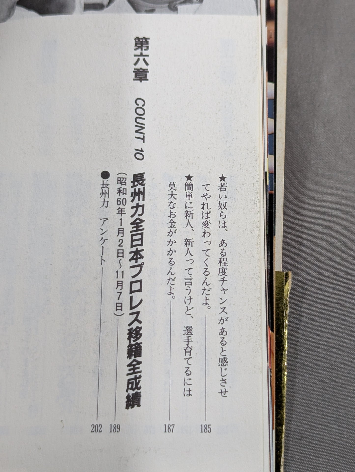 Burn! Riki Choshu 