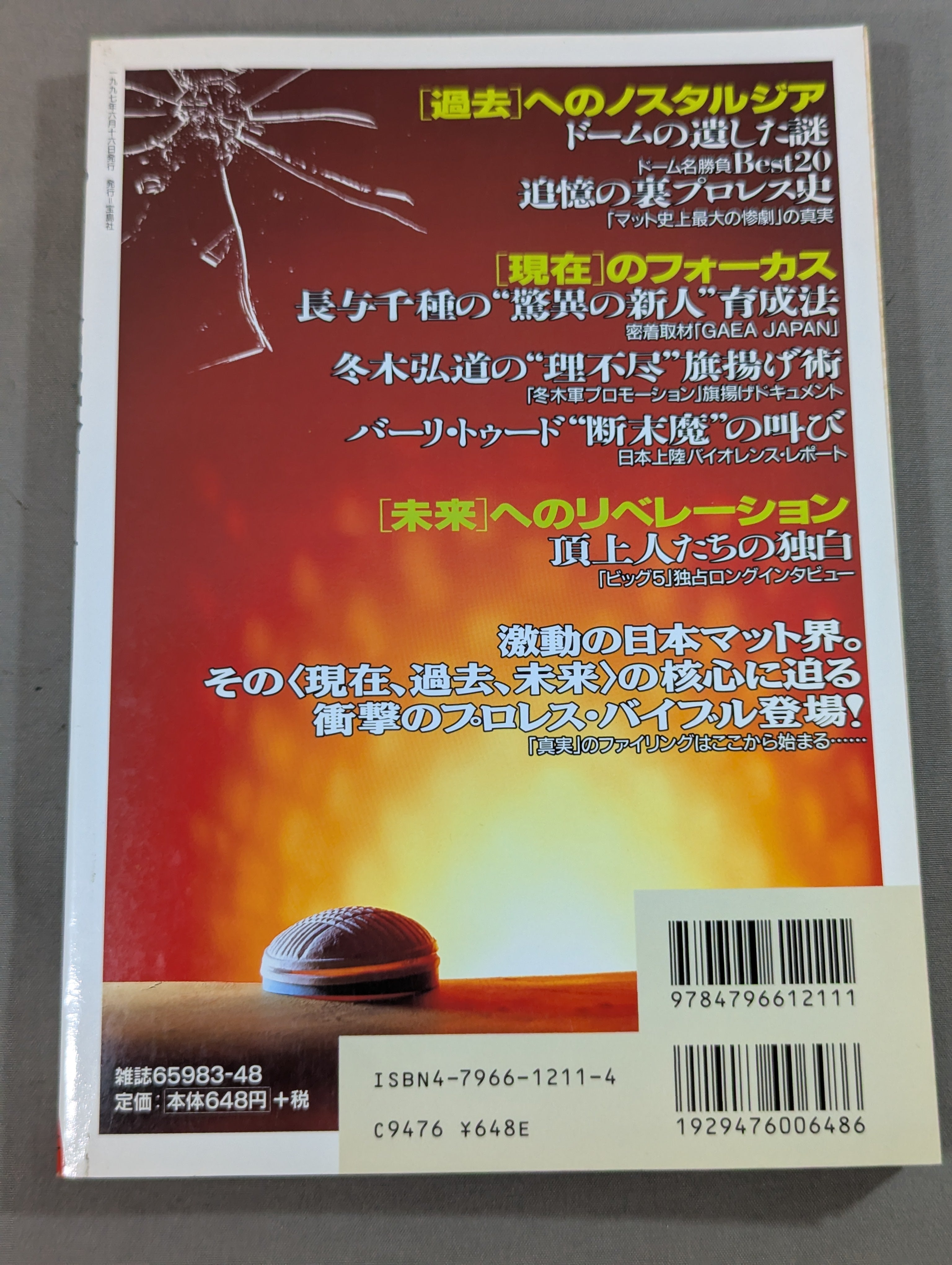 別冊宝島 特別編集 プロレス読本Files Vol.1 – 闘道館