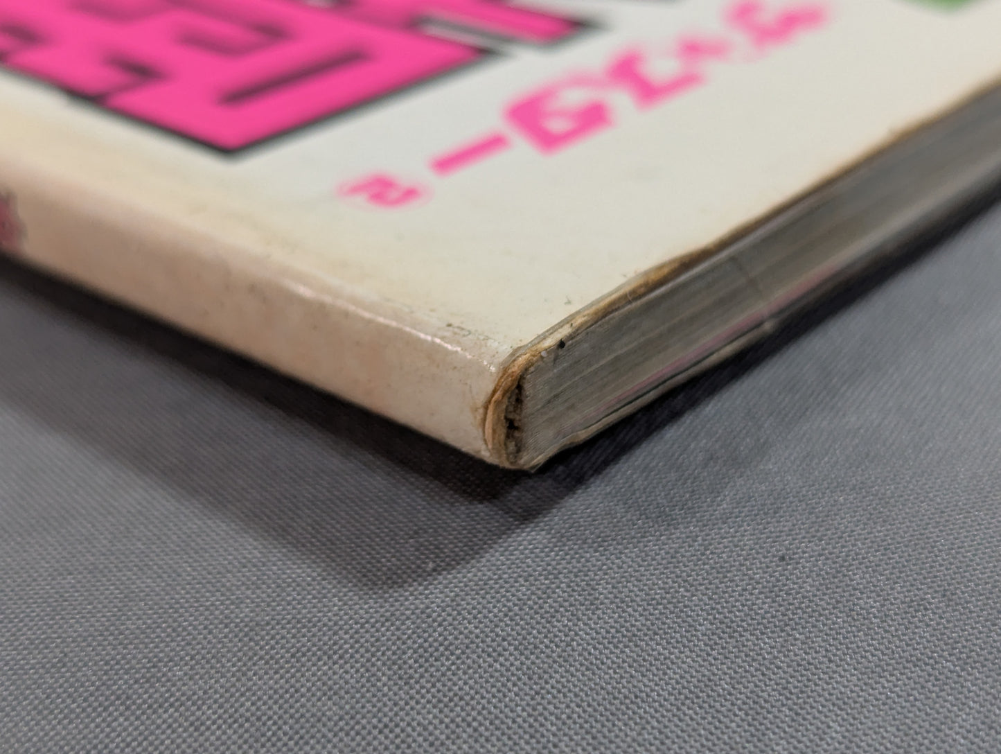 ジャンボ堀 写真集 女子プロレス青春ドラマ  / チャンピオン・ハイウェイ