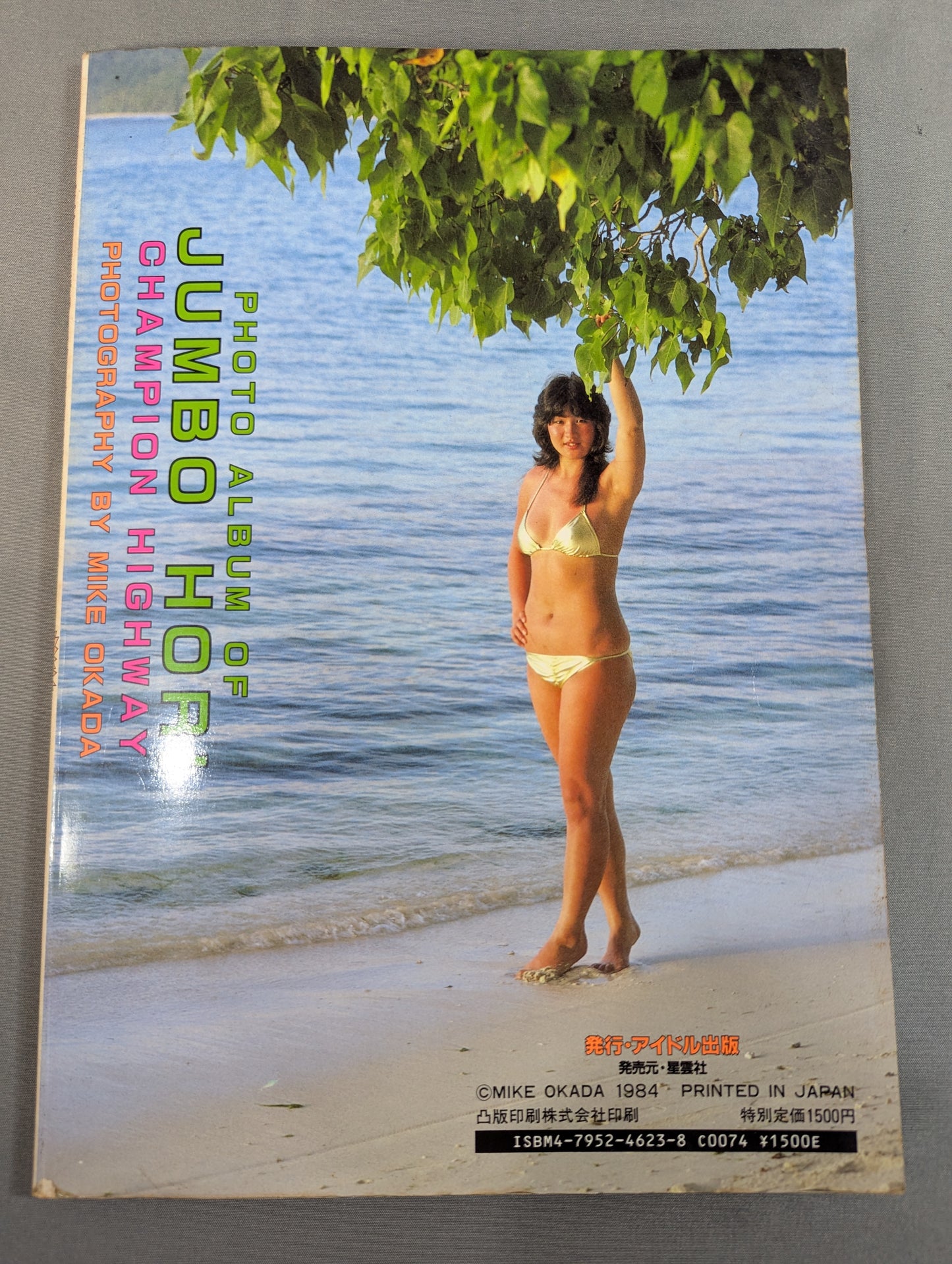 ジャンボ堀 写真集 女子プロレス青春ドラマ  / チャンピオン・ハイウェイ