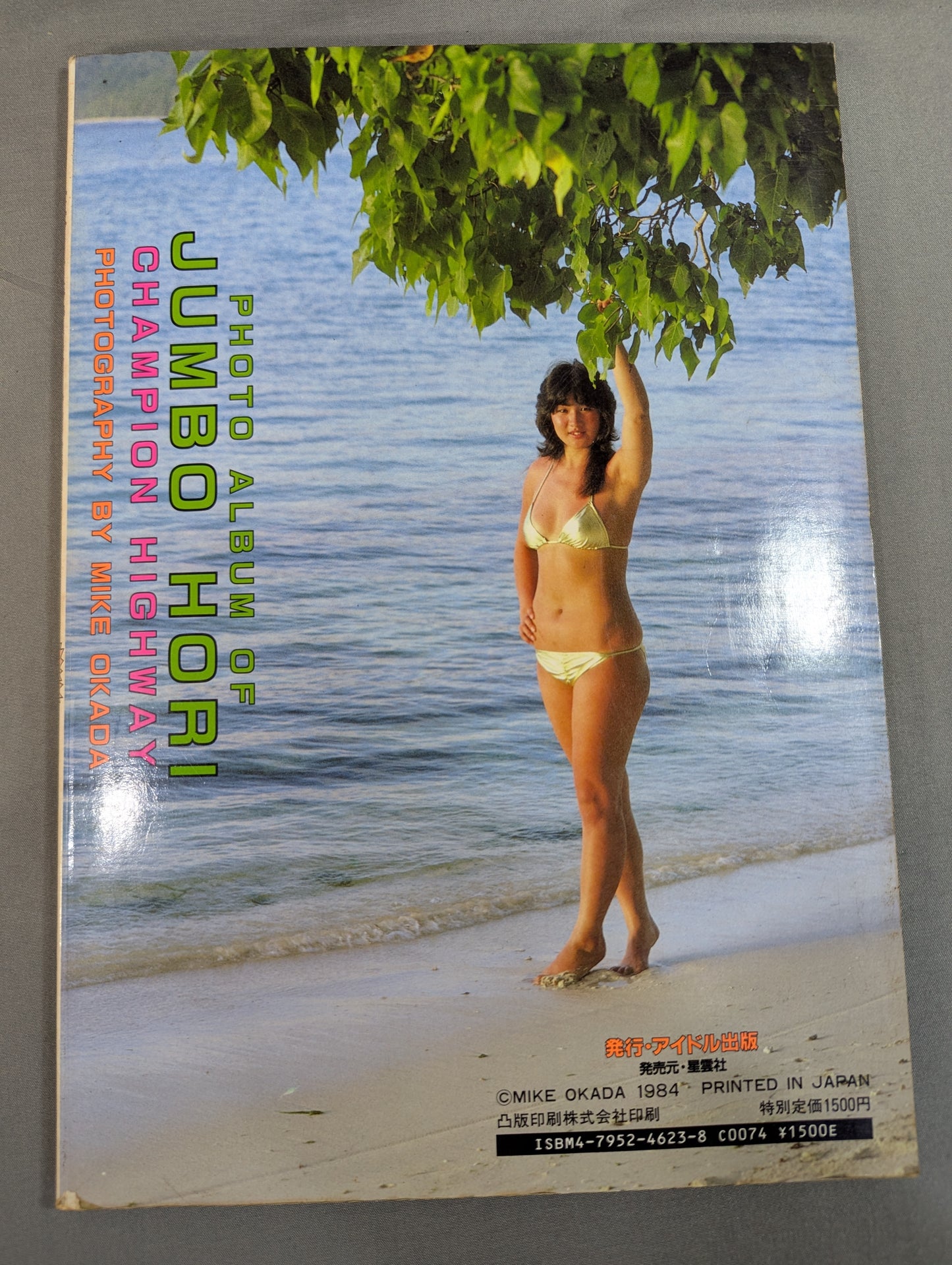 ジャンボ堀 写真集 女子プロレス青春ドラマ  / チャンピオン・ハイウェイ