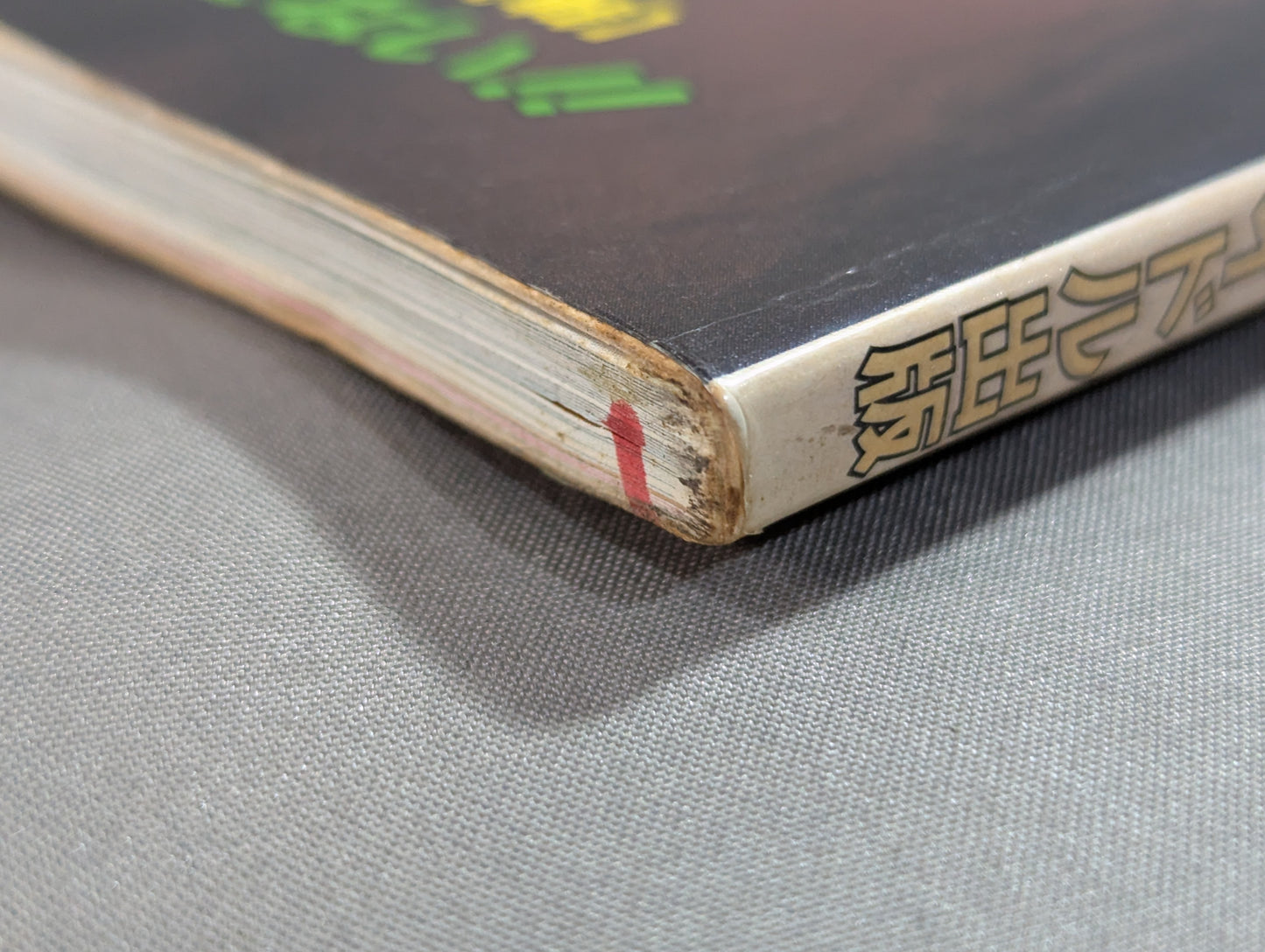 ジャンボ堀 写真集 女子プロレス青春ドラマ  / チャンピオン・ハイウェイ