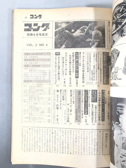 別冊ゴングVol.3 No.4