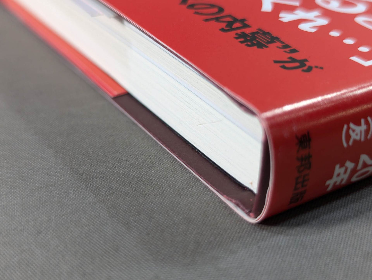 Bruiser Brody  My intellectual rebel