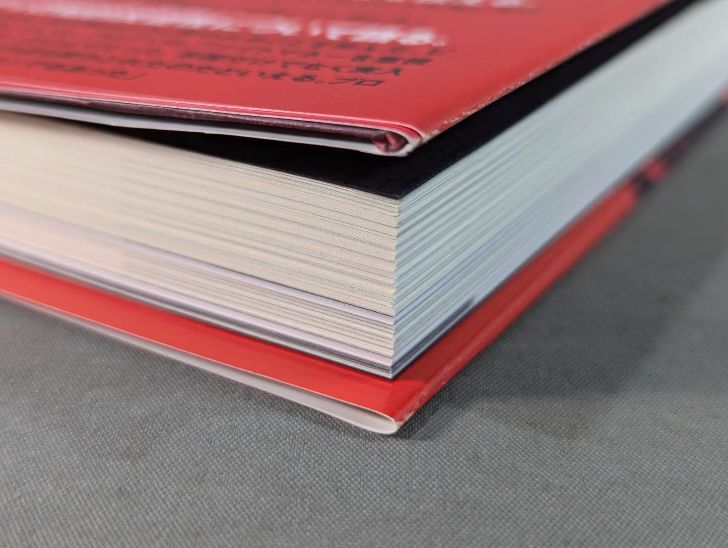 Bruiser Brody  My intellectual rebel