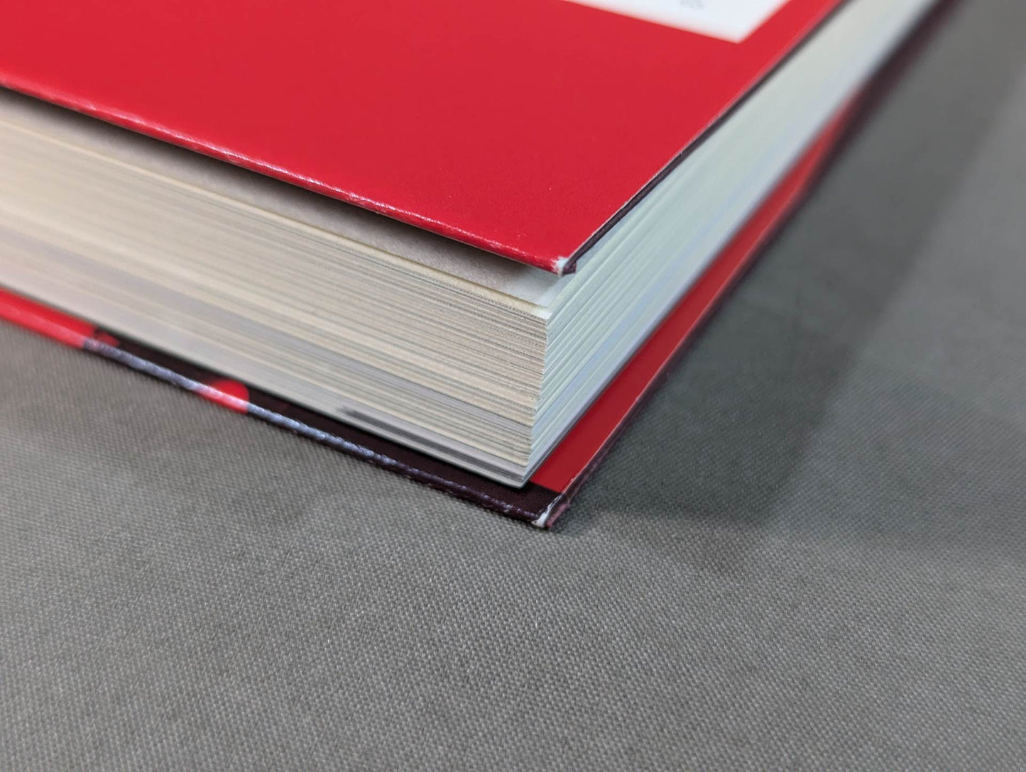 Bruiser Brody  My intellectual rebel