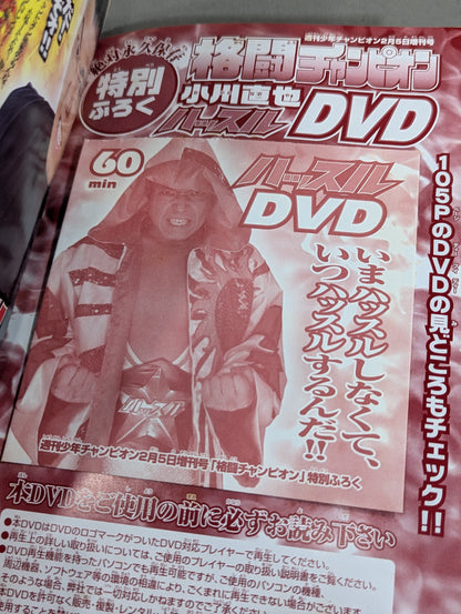 格闘チャンピオン