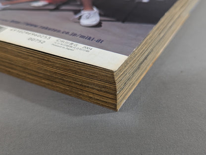 格闘チャンピオン