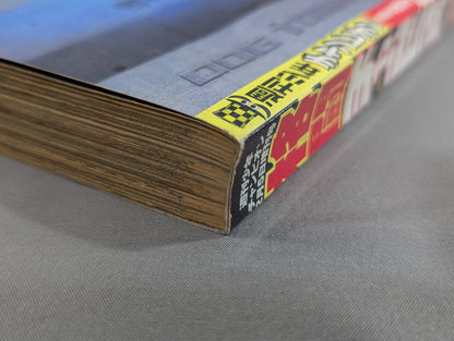 格闘チャンピオン