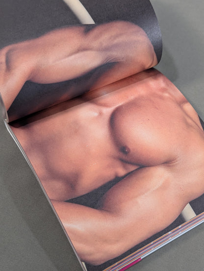 New Japan Pro Wrestling  Pectoral Encyclopedia