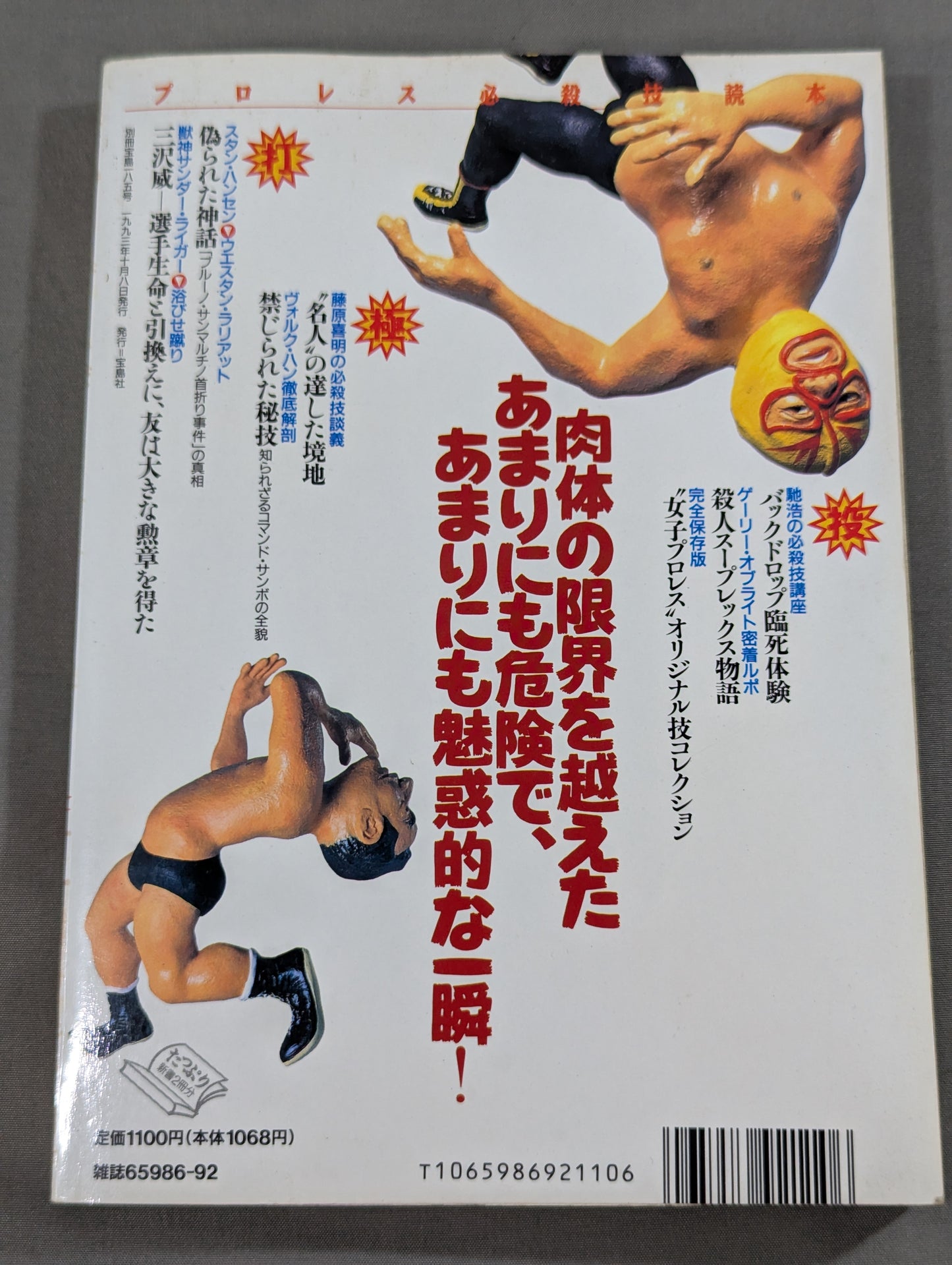 別冊宝島185 プロレス必殺技読本 完全保存版 永遠の必殺技100