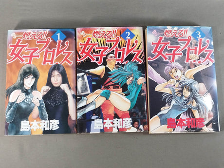 [All 3 volumes set] Burning! !! Women's Pro Wrestling
