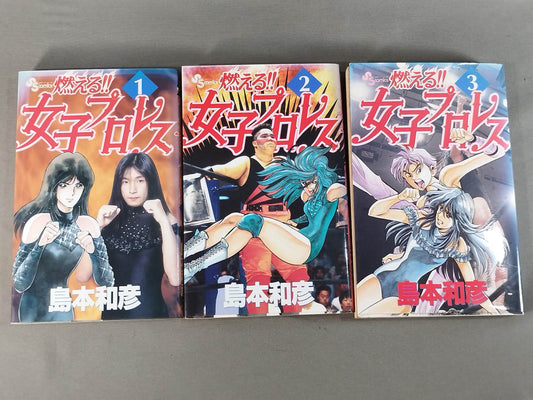 【全3巻セット】燃える!!女子プロレス