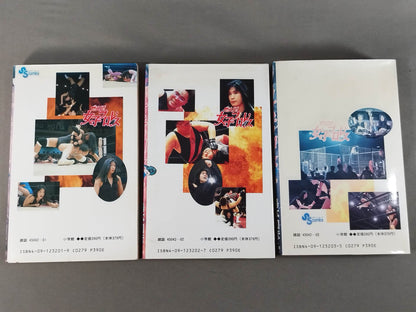 [All 3 volumes set] Burning! !! Women's Pro Wrestling