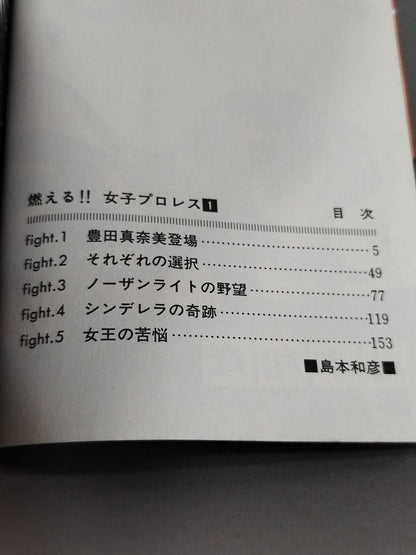 [All 3 volumes set] Burning! !! Women's Pro Wrestling