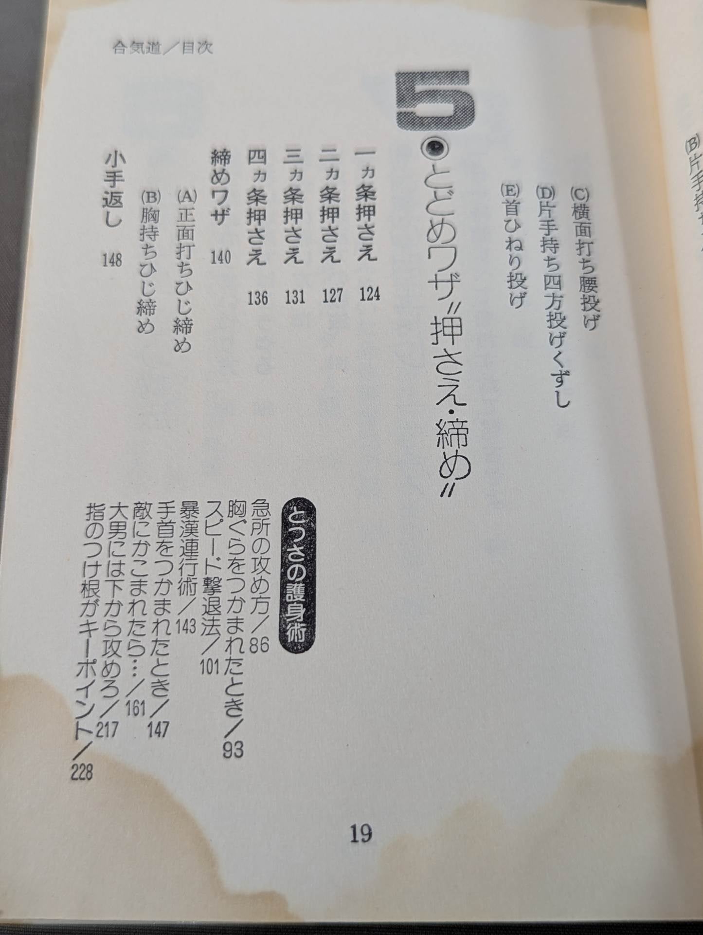 合気道 大きい奴を倒す – 闘道館