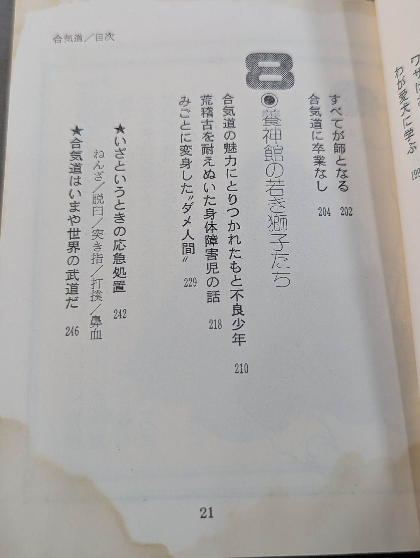 合気道 大きい奴を倒す – 闘道館