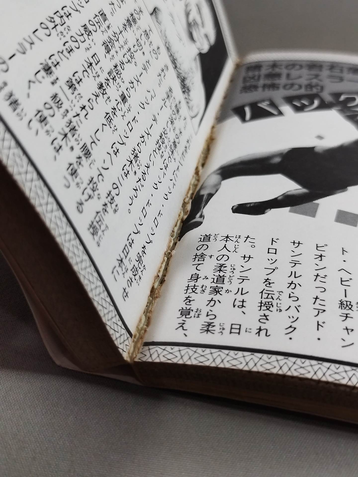 Antonio Inoki  Tiger Mask Encyclopedia