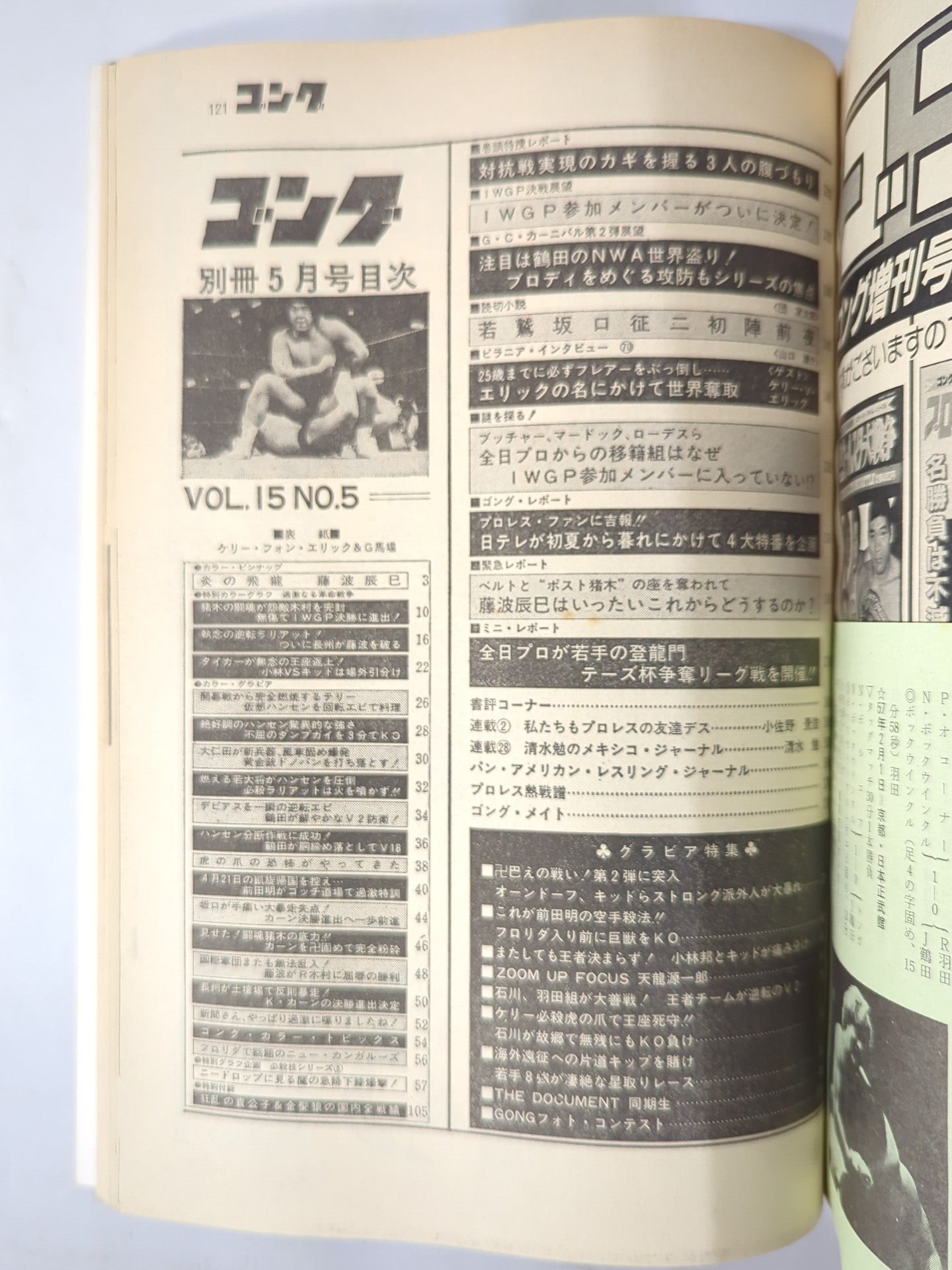 別冊ゴングVol.15 No.5